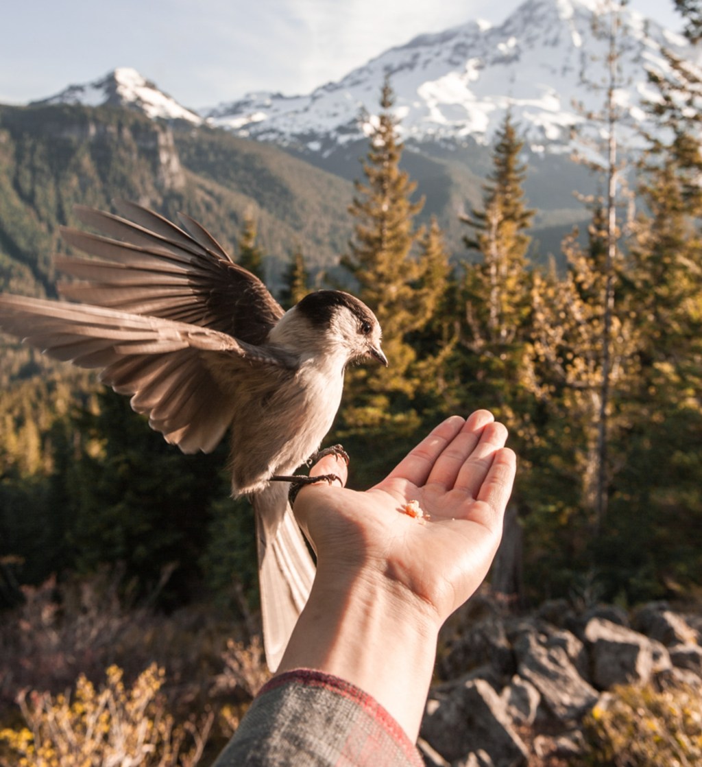 My Journey to Forgiveness and Letting&nbsp;Go