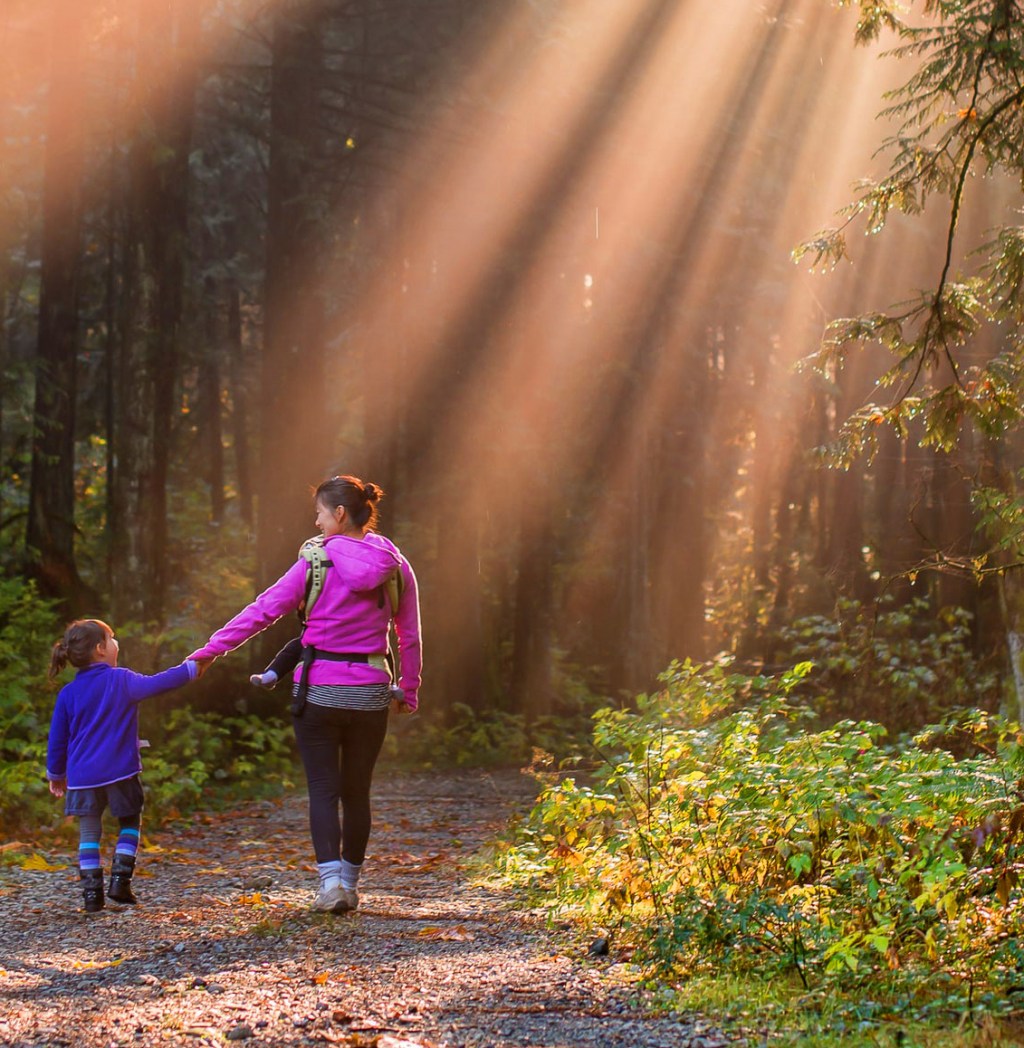 The loss of a&nbsp;Mother